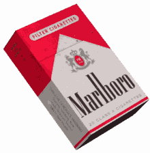 pack of smokes ciggy cigarettes