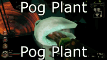 Pog Plant GIF - Pog Plant Pog Plant GIFs