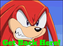 Sonic Knuckles GIF - Sonic Knuckles Get Back Here GIFs