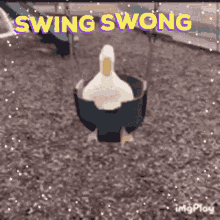 Swing Swong GIF - Swing Swong GIFs