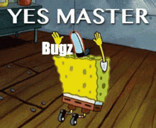 d2 bugz master yes master slave