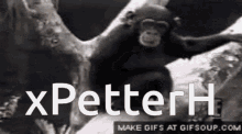 x petter h petter owner legion