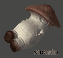Soomin Mushroom GIF - Soomin Mushroom Wriggle GIFs