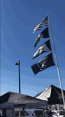 Raiders Flag GIF - Raiders Raider Flag GIFs