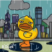Bduck Wetduck GIF - Bduck Wetduck Rainning GIFs