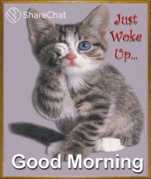Good Morning Just Woke Up GIF - Good Morning Just Woke Up शुभप्रभात GIFs