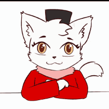 peetagorad conner cat conner peetagorad conner cat conner