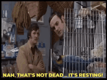 Monty Python Dead Parrot GIF - Monty Python Dead Parrot John Cleese GIFs