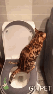 Gif Pet Toilet GIF - Gif Pet Toilet Cat GIFs