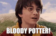 Harry Potter Bloodypotter GIF - Harry Potter Potter Bloodypotter GIFs