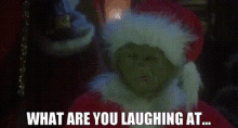 The Grinch What Are You Laughing At GIF - The Grinch What Are You Laughing At Whats So Funny GIFs