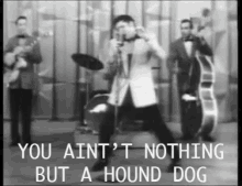 You Aint Nothing But A Hound Dog GIF - You Aint Nothing But A Hound Dog Elvis GIFs