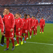 fc bayern fcb bayern bayern munich munchen fc bayern fcb bayern bayern munich munchen