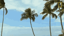 Windy When Sharks Attack GIF - Windy When Sharks Attack Calming Landscape GIFs