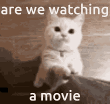 movies watching movie are we watching movie