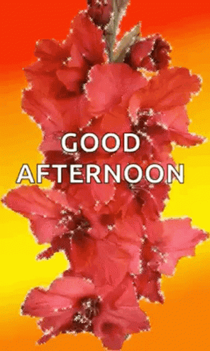 Good Afternoon Flowers GIF - Good Afternoon Flowers Glitter - Discover ...