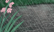 Rain Flower GIF - Rain Flower Rainy GIFs