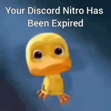 no nitro discord nitro discord mod epic embed fail meme