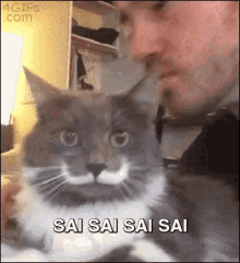 Pára, Já Deu GIF - Cat Gato Kiss GIFs