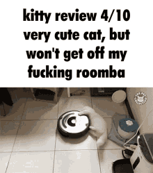 Kitty Review Cat GIF - Kitty Review Cat Cat Review GIFs