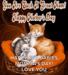 Happy Mothers Day You Are A Great Mom GIF - Happy Mothers Day You Are A Great Mom Cat GIFs