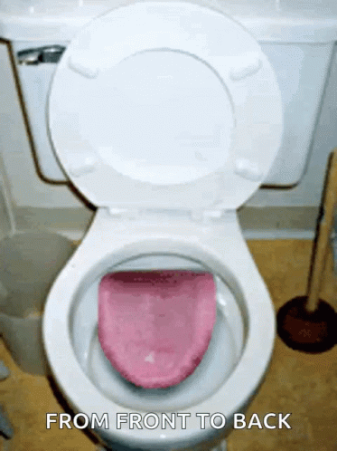 tongue-toilet.gif