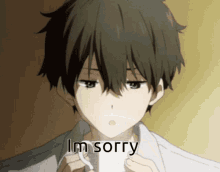 sorry anime anime sorry sorry anime boy anime
