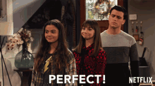 Perfect Awesome GIF - Perfect Awesome Nice GIFs