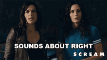 Sounds About Right Gale Weathers GIF - Sounds About Right Gale Weathers Sidney Prescott GIFs