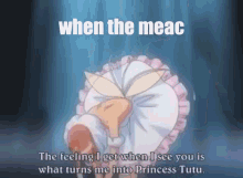 meac the
