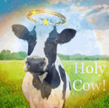 Holy Cow GIF - Holy Cow Crap GIFs