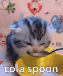 danganronpa cat spagoot im sorry danganronpa cat spagoot im sorry
