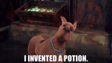 Scooby Doo I Invented A Potion GIF - Scooby Doo I Invented A Potion Potion GIFs