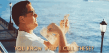 jordan belfort leonardo di caprio wolf of wall street fun coupons money