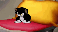 Cat Angry GIF - Cat Angry Black GIFs