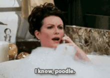 Karen Walker Will And Grace GIF - Karen Walker Will And Grace I Know Poodle GIFs