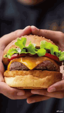 Lelena Burger Hamburger GIF - Lelena Burger Hamburger Aversa GIFs
