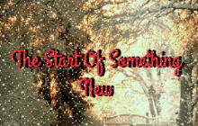 The Start Of Something New New Start GIF - The Start Of Something New New Start Winter GIFs
