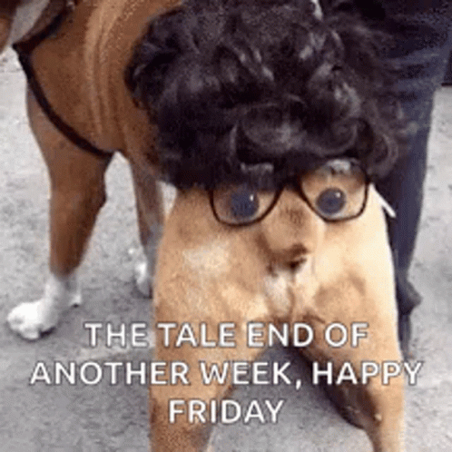 funny happy friday images