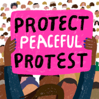 Protect Peaceful Protest Protest Peacefully Sticker - Protect Peaceful Protest Protest Peacefully Protesting Stickers
