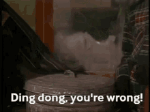 Youre Wrong Oscar The Grouch GIF - Youre Wrong Oscar The Grouch Ding Dong GIFs
