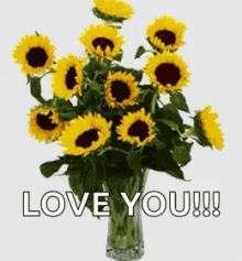 have a nice day love you sunflower flowers