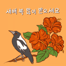 새해 한국 GIF - 새해 한국 한국인 GIFs