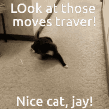 Catsoda Jay GIF - Catsoda Jay Traveler GIFs