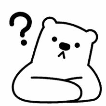 bear question