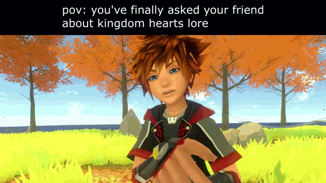Kingdom Hearts Lore GIF - Kingdom Hearts Lore Pov GIFs