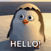 hello there private from penguins of madagascar hi wave hey there