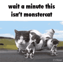 Monstercat GIF - Monstercat GIFs