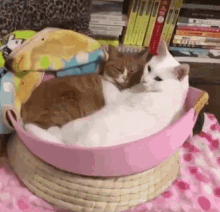 Sleepy Cat GIF - Sleepy Cat Hugs GIFs