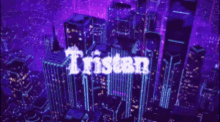 Tristan Tristanv GIF - Tristan Tristanv Wiser GIFs